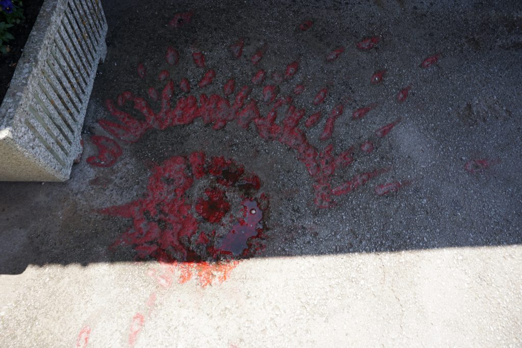 saraybosnanın gülleri